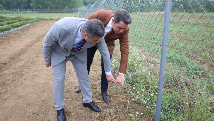 İzmit Belediyesi Başkan Yardımcısı Lütfü Obuz Çilekköy’de incelemelerde bulundu
