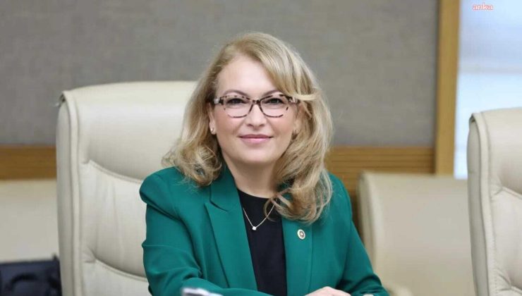 CHP İstanbul Milletvekili Ayşe Sibel Yanıkömeroğlu Çınar Çocuk Evi açılışına geliyor