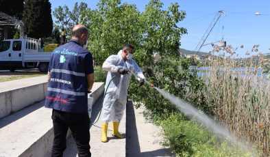 İzmit Belediyesinden halk sağlığı için yoğun ilaçlama mesaisi
