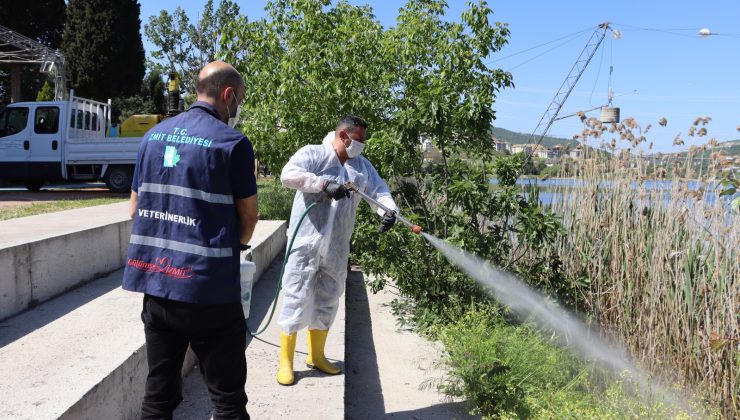 İzmit Belediyesinden halk sağlığı için yoğun ilaçlama mesaisi