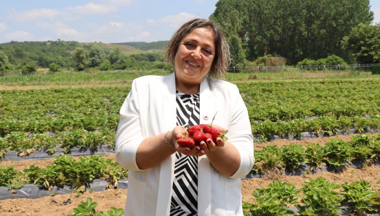 İzmit Belediye Başkan Yardımcısı Neslihan Çakır’dan kırsal kalkınma alanlarında inceleme