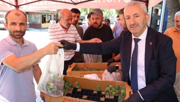 İzmit Belediyesinden vatandaşa ücretsiz fide desteği