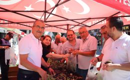 İzmit Belediyesinden vatandaşlara fide hediyesi