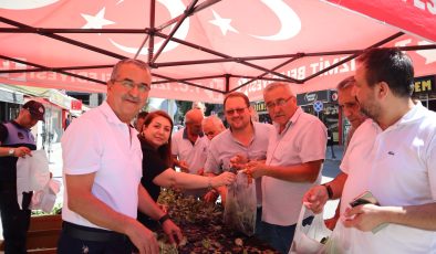 İzmit Belediyesinden vatandaşlara fide hediyesi