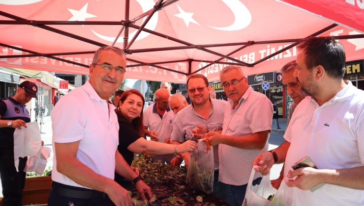 İzmit Belediyesinden vatandaşlara fide hediyesi