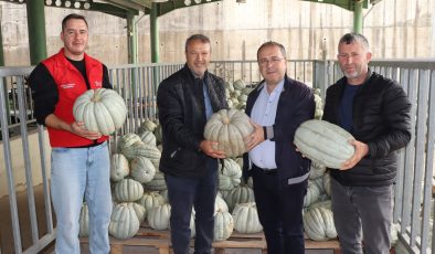 İzmit Belediyesinden 8 tonluk yerli üretim bal kabağı