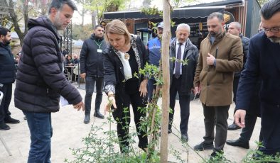 Yeni Cuma Parkı yaz aylarında botanik bahçesine dönüşecek