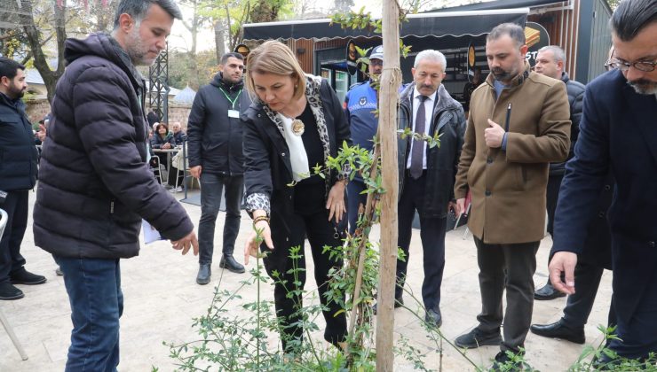 Yeni Cuma Parkı yaz aylarında botanik bahçesine dönüşecek