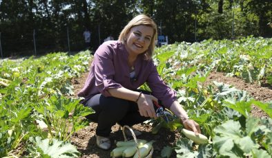 İzmit’in bereketli toprakları fabrika gibi çalıştı