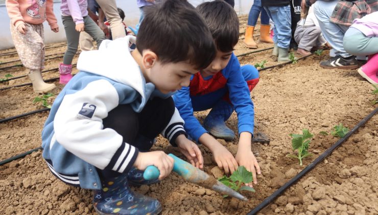 Çınar çocuklar ilk fidelerini Çocuk Serasında ekti