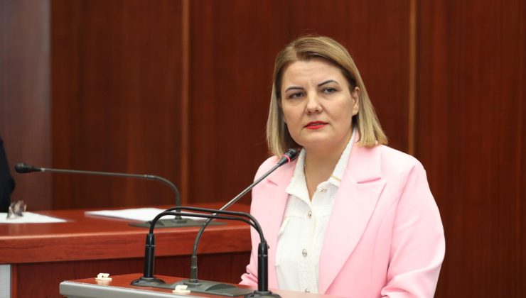 Fatma Başkan: “Çınar Çocuk Evleri ile eğitimde fırsat eşitliğini büyütüyoruz”