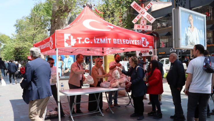 İzmit Belediyesinden vatandaşa ücretsiz istiridye mantarı