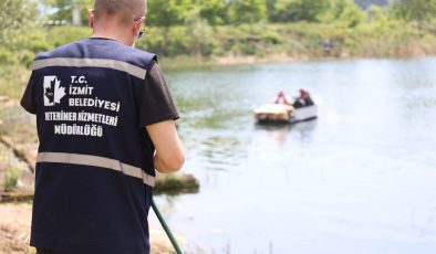 İzmit’te ilaçlama çalışmaları amfibik araç desteğiyle devam ediyor