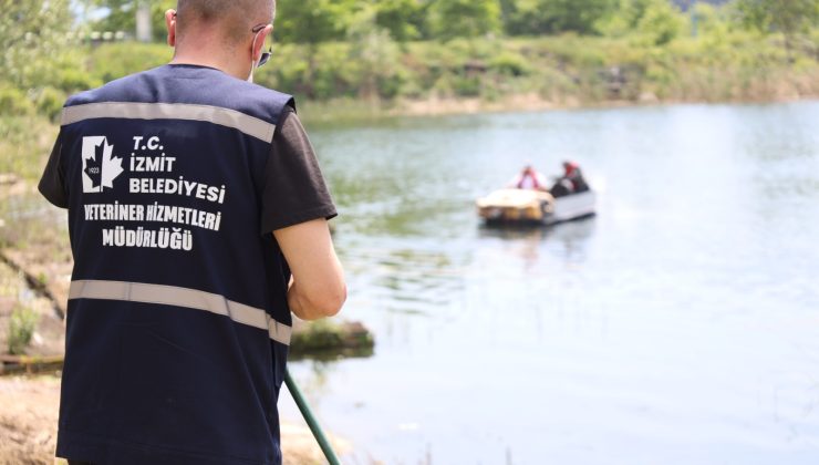 İzmit’te ilaçlama çalışmaları amfibik araç desteğiyle devam ediyor