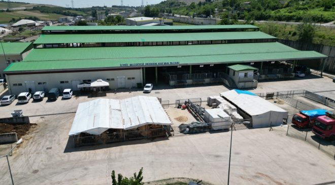 Kurbanlıklar İzmit Belediyesi Modern Hayvan Pazarı’nda yerini alıyor