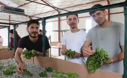 KOÜ öğrencileri İpekböceği Kozaevi’nde üretim sürecini yerinde inceledi