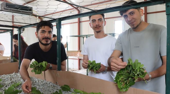KOÜ öğrencileri İpekböceği Kozaevi’nde üretim sürecini yerinde inceledi