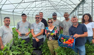 İzmit Belediyesinin tarlalarından 8 ayda 20 ton ürün